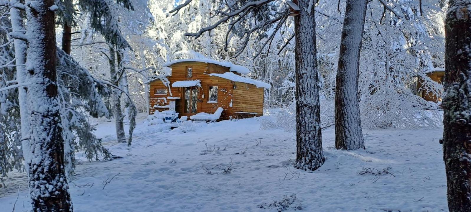 Chalet Cricri Domaine De La Mamounette Champclause Eksteriør billede